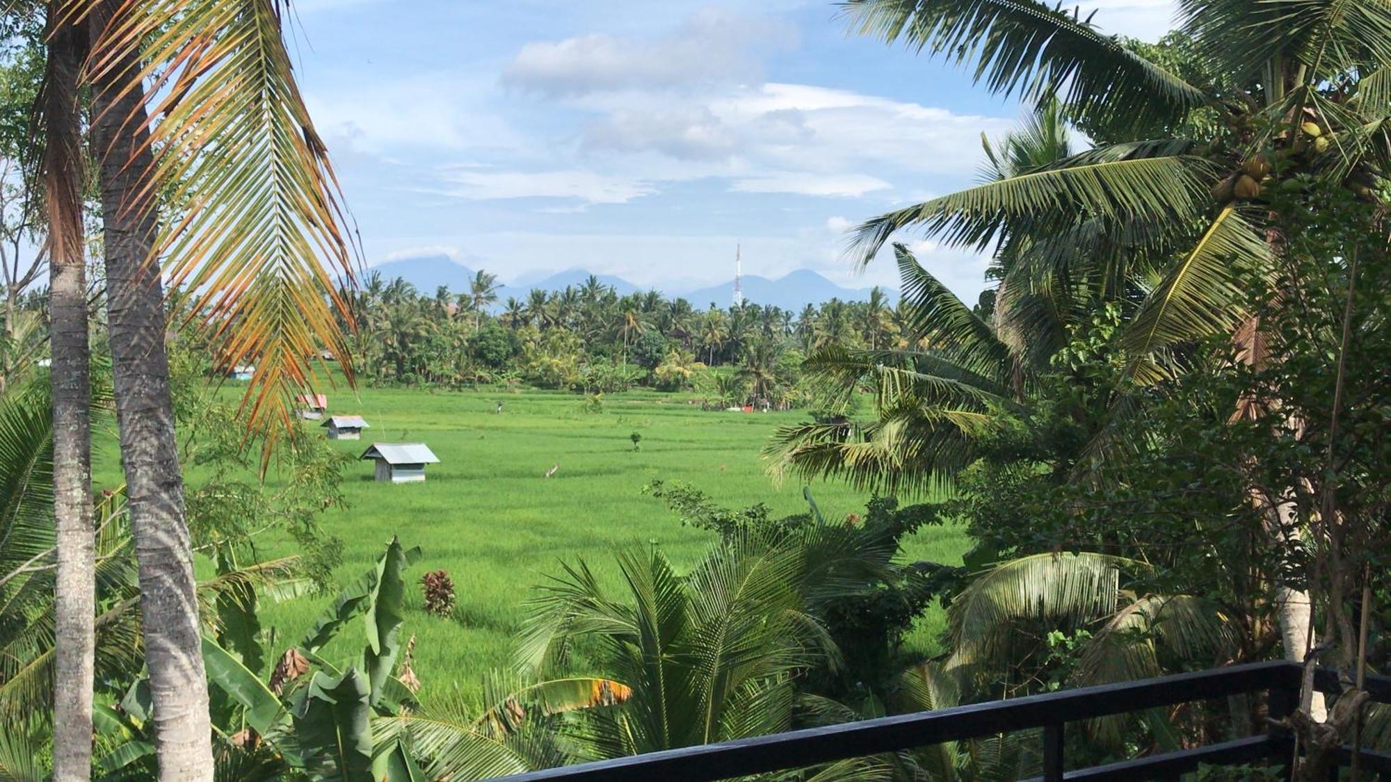 The Shea Ubud Tranquility Villa With Private Pool 외부 사진
